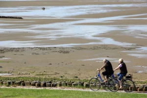 Fietsen op de Wadden: een unieke eilandervaring