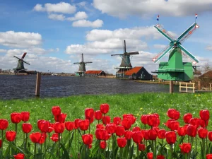 Zaanse Schans bezienswaardigheden en tips