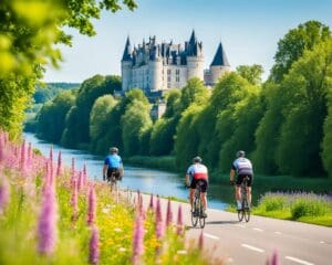 Fietsen door de Loirevallei, Frankrijk