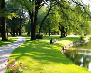 Parkwandeling met yoga, mindfulness en natuurontdekkingen