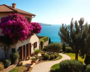 Waarom een vakantiehuis huren in Les Issambres?