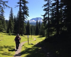 Hoe wandel je veilig in berengebied?