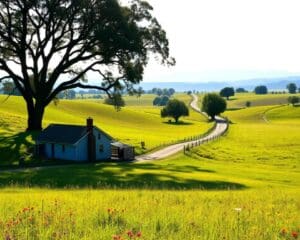 Wonen op het platteland: dit zijn de pluspunten
