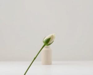 Waarom kiezen voor detail in eenvoud?