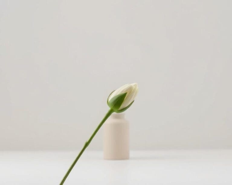 Waarom kiezen voor detail in eenvoud?