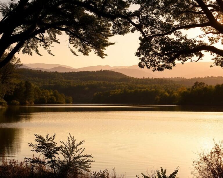 Wat zijn uitstekende ideeën voor een dag vol natuur en rust?