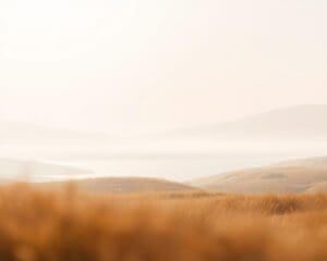 Welke kleuren creëren visuele rust?