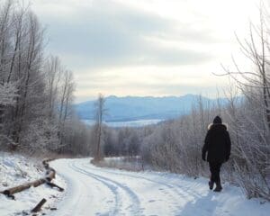 Wat maakt winterwandelen ontspannend?
