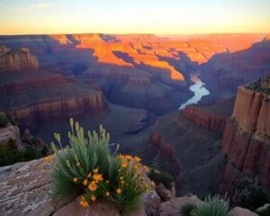 Waarom blijft de Grand Canyon zo’n indrukwekkend natuurwonder?