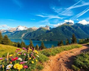 Wat zijn de mooiste wandelgebieden in Oostenrijk?